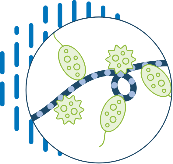 Threads Microbe Illustration